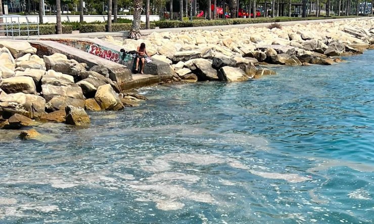 Набережная Лимассола превратилась в свалку с мусором в воде у мола и купающимися людьми