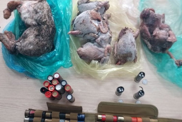 В Пафосе проведены рейды с изъятием трупа зайца, 7 тушек птиц и 38 запрещенных патронов