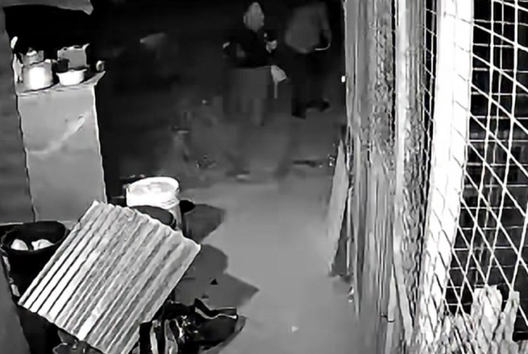 В Ларнаке украли 16 собак перед охотничьим сезоном, полиция ищет связь с бандами