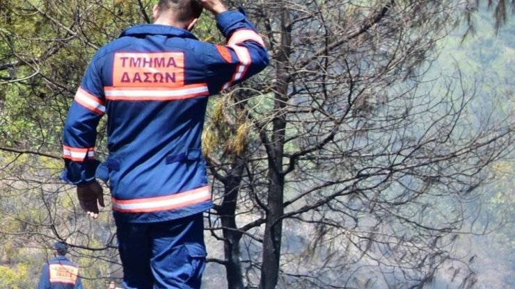 Пожар на 3 гектарах возле дамбы Аспрокреммос в районе Анариты локализовали за час